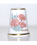 Carnation