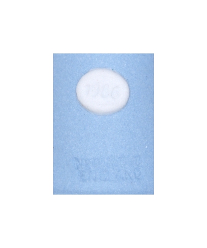 Wedgwood 1986 (blue)