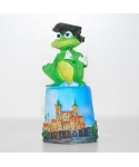 Salamanca and frog