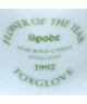 Spode - Foxglove