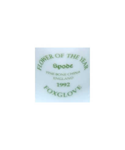Spode - Foxglove