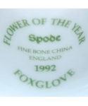 Spode - Foxglove