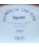 Spode - Irys