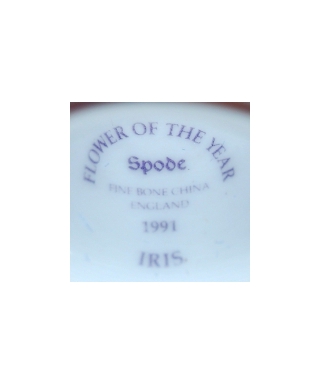 Spode - Iris