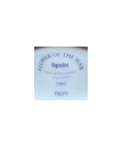 Spode - Irys