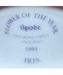 Spode - Iris