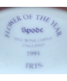 Spode - Iris