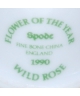 Spode - Dzika róża