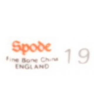 Spode - 19