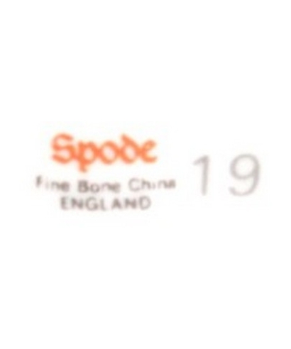 Spode - 19