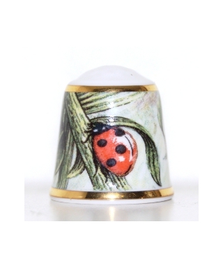 Ladybug