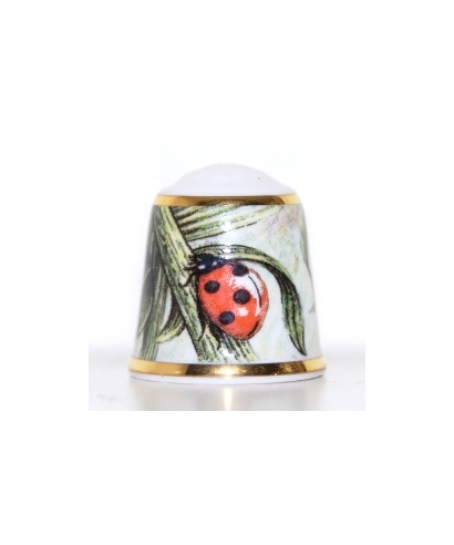 Ladybug