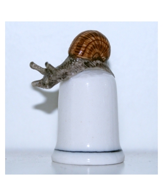 Snail
