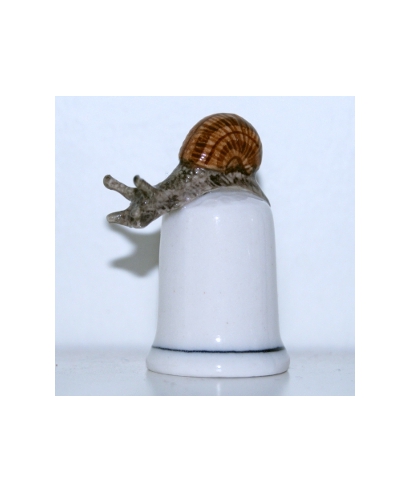 Snail