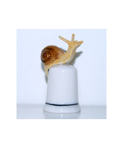 Snail II