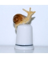 Snail II