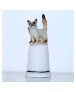 Siamese cat