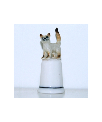 Siamese cat