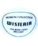 Museum Collection - Wisteria