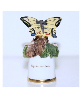 Papilio machaon