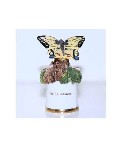Papilio machaon