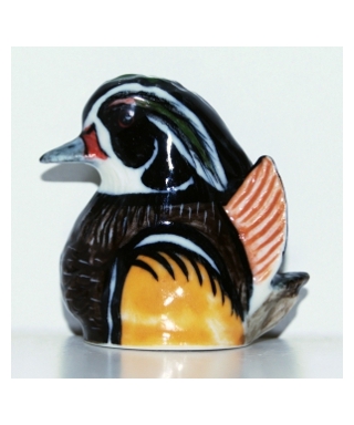 Mandarin duck