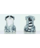 Raccoon