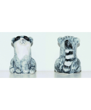 Raccoon