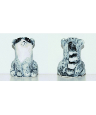 Raccoon