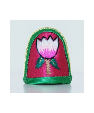 Tulipan