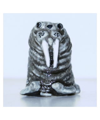 Walrus