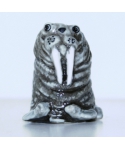 Walrus