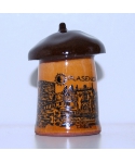 Mushroom from Plasencia
