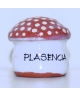 Muchomor z Plasencii