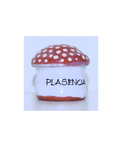Toadstool from Plasencia