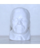 Theodore Roosevelt white version