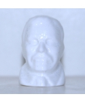 Theodore Roosevelt biała wersja