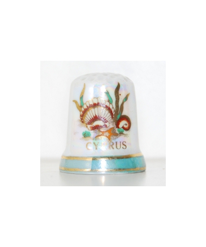 Shells from Cyprus