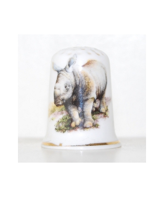 Rhinoceros