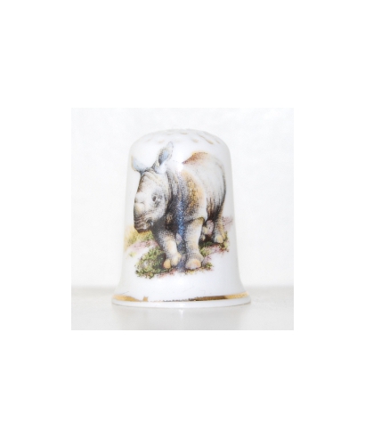 Rhinoceros