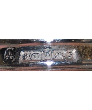 TCG S(T) [anchor] [lion] P