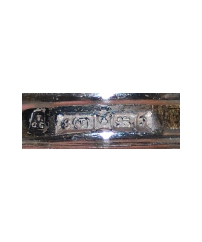 TCG S(T) [anchor] [lion] P