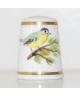 Great tit - Clair Cox