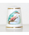 Kingfisher - A. Hinitt