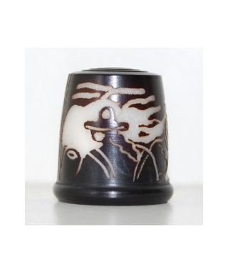 Tagua ekwadorczyk III