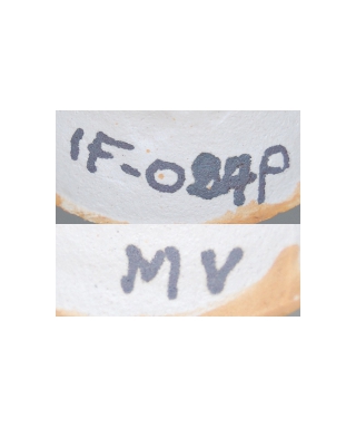 IF-027-q MV