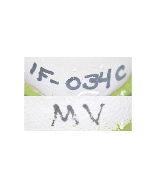 IF-034c MV