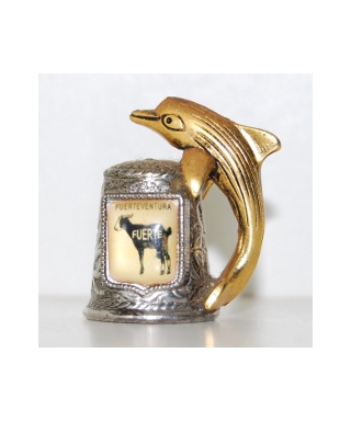 Fuerte with dolphin