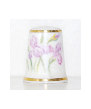 Irises - Daisy Rea