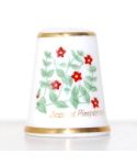 Pimpernel